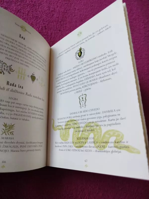 Magiška apsauga. Vadovas, kaip apsisaugoti nuo Juodosios Magijos - Francis Melville, knyga 5