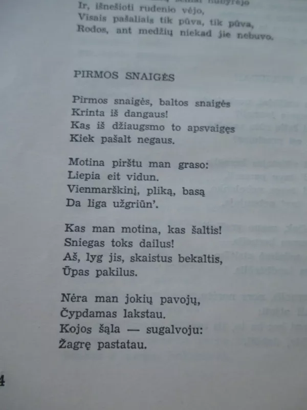 Raštai - Julius Janonis, knyga 4