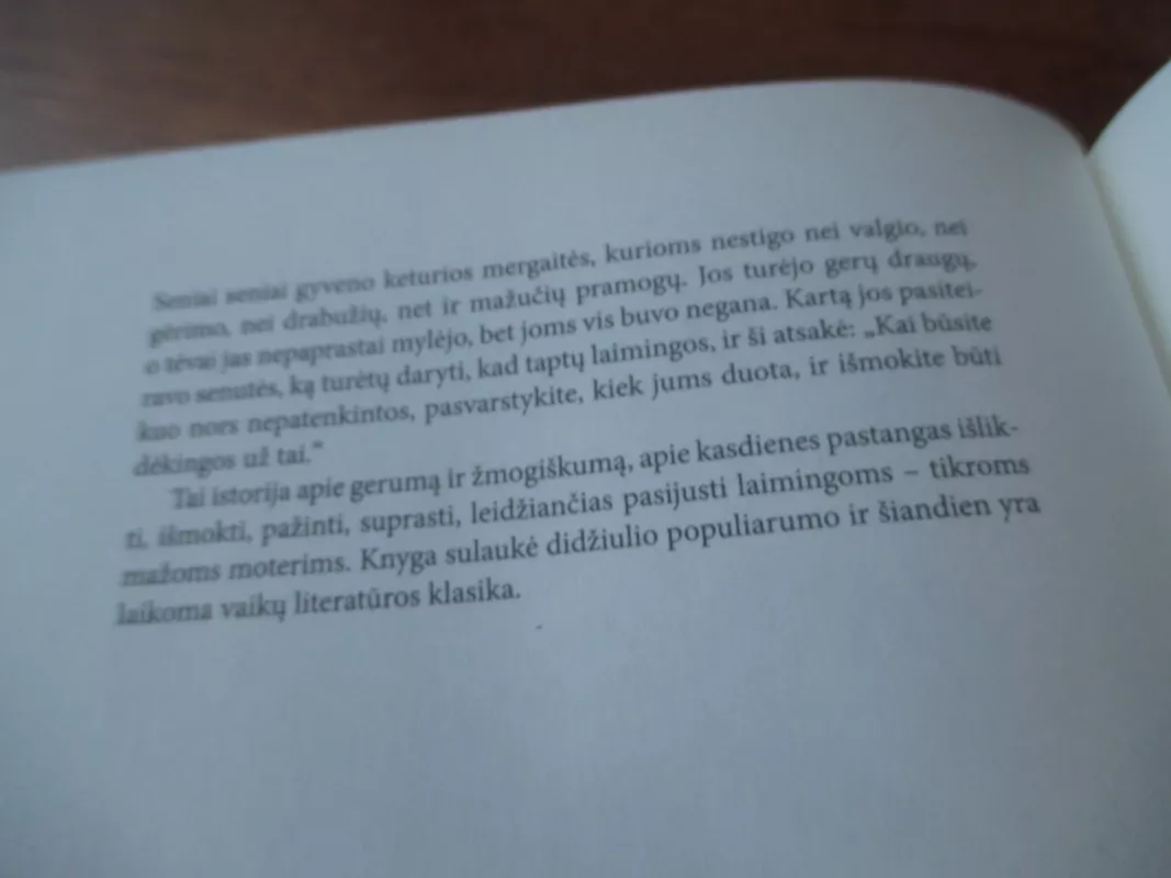 Mažosios moterys - Louisa May Alcott, knyga 5