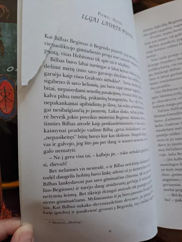 Žiedų valdovas (1 dalis): Žiedo brolija - J. R. R. Tolkien, knyga 4