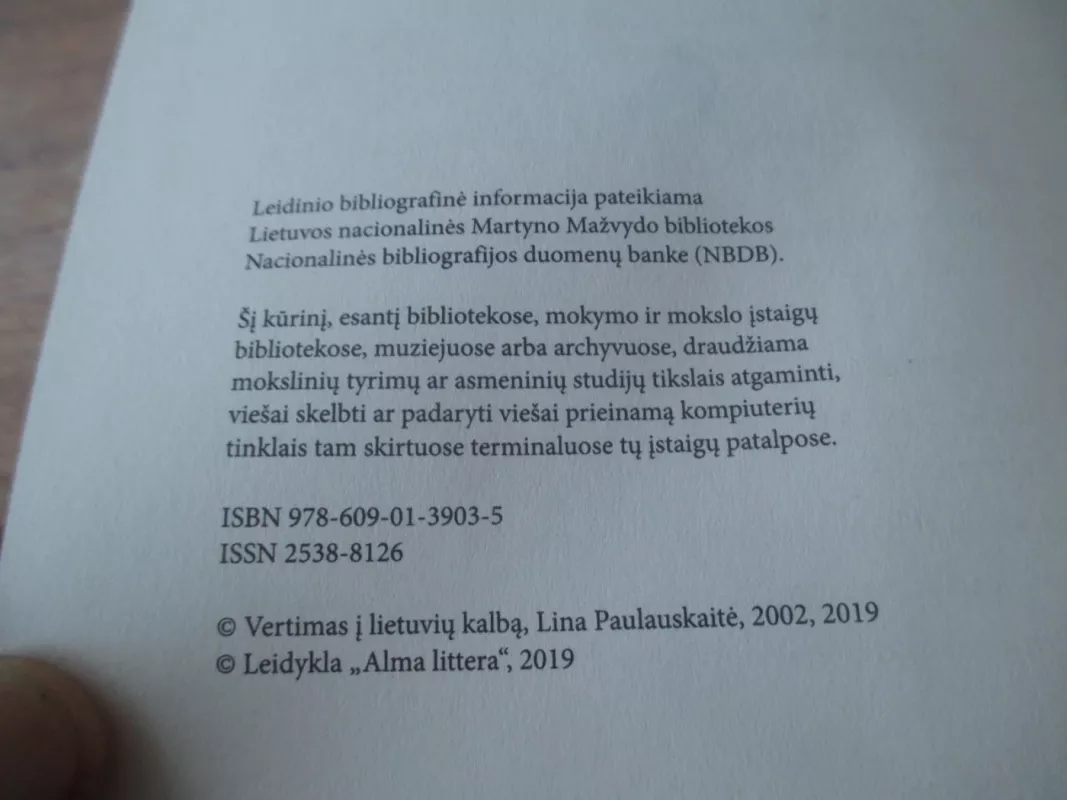 Mažosios moterys - Louisa May Alcott, knyga 6