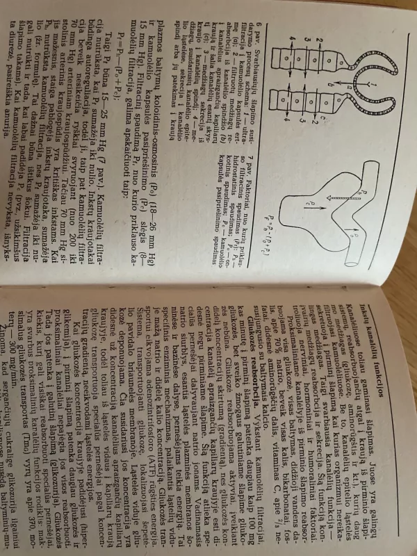 Ūminis inkstų nepakankamumas - Vytautas Razukas, knyga 6