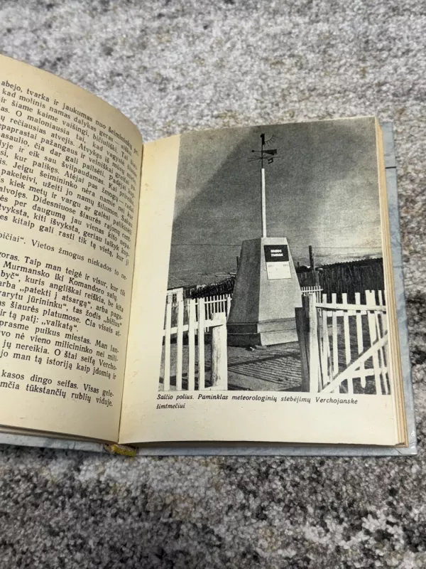 Maumedžių auksas ir vario sala - Rimantas Budrys, knyga 6