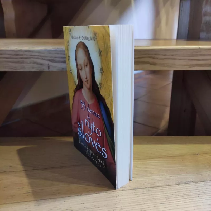 33 dienos iki ryto šlovės: Pasiaukojimo Marijai rekolekcijos - Michael E. Gaitley, knyga 5