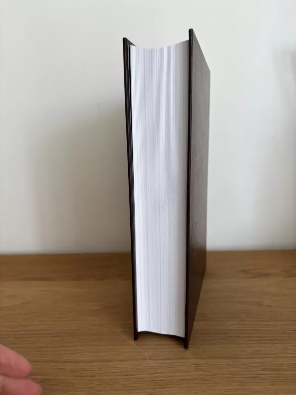 Lietuvos filosofijos istorija (I tomas): Viduramžiai-Renesansas-Naujieji amžiai - Romanas Plečkaitis, knyga 5