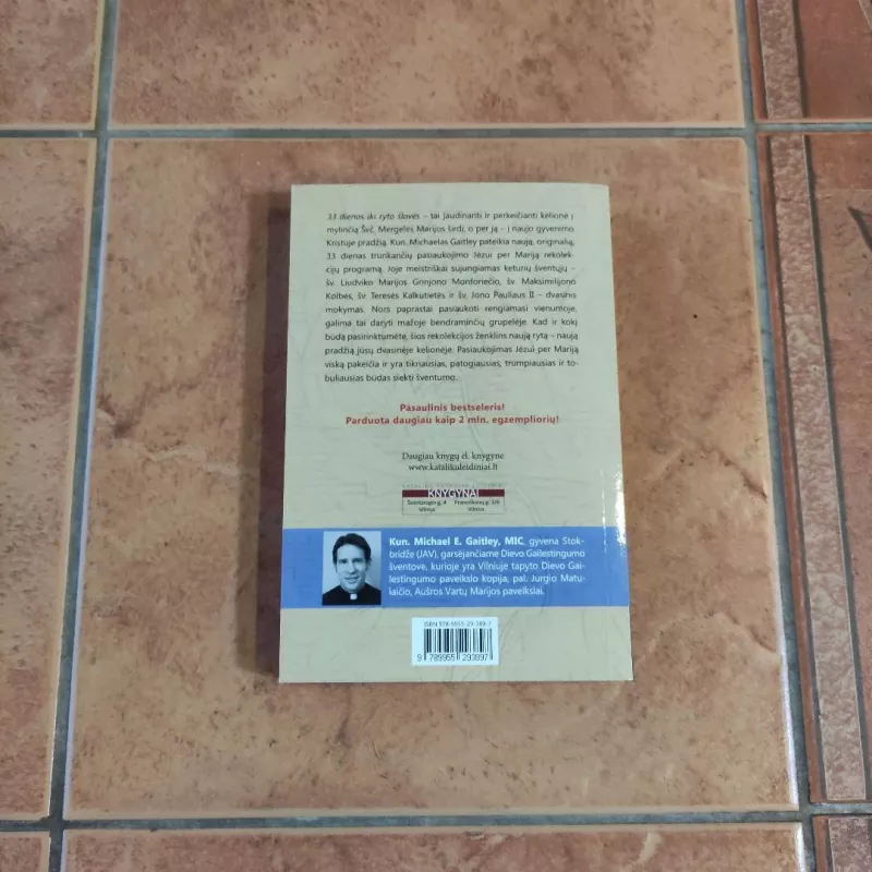 33 dienos iki ryto šlovės: Pasiaukojimo Marijai rekolekcijos - Michael E. Gaitley, knyga 3