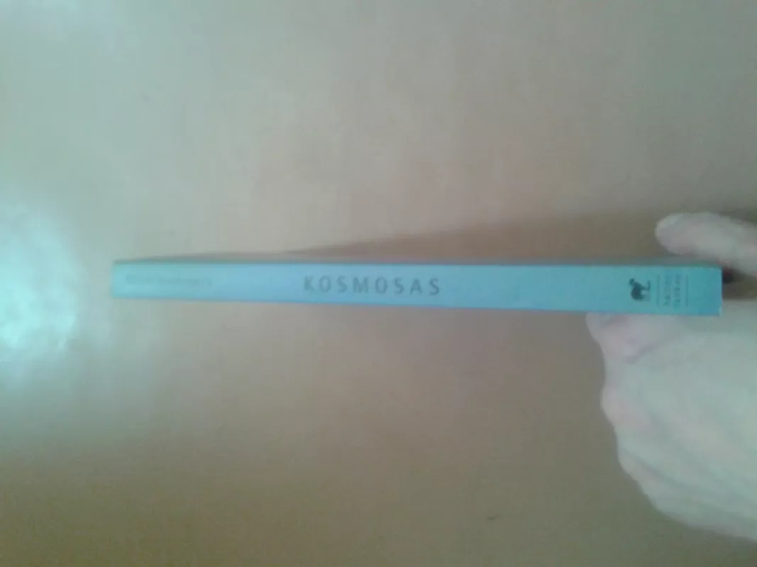 Kosmosas - Witold Gombrowicz, knyga 3