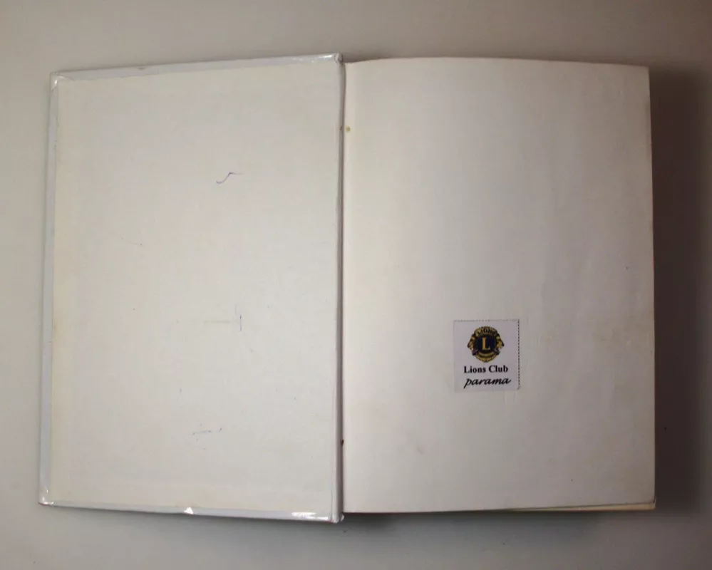 Mažylis ir Karlsonas, kuris gyvena ant stogo - Astrid Lindgren, knyga 5