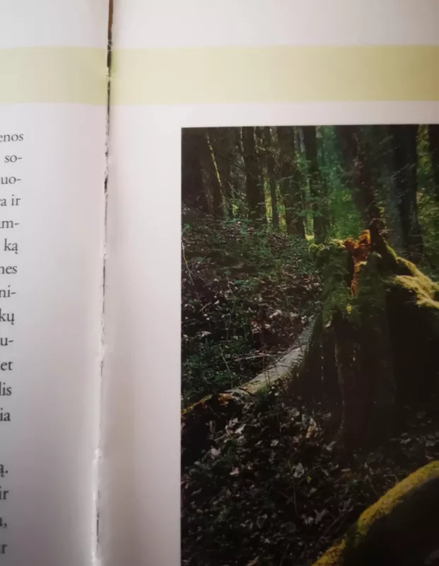 Lietuvos grybų atlasas - Vincentas Urbonas, knyga 5