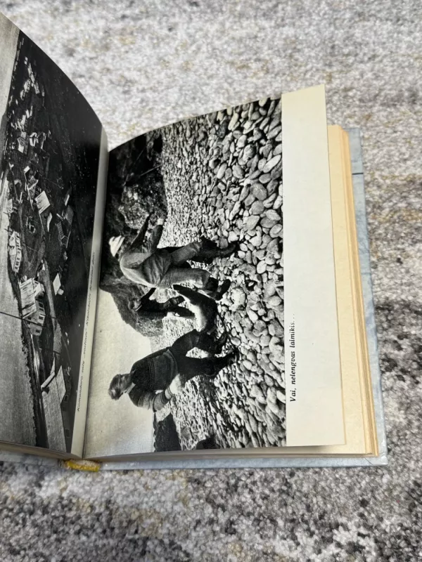 Maumedžių auksas ir vario sala - Rimantas Budrys, knyga 5