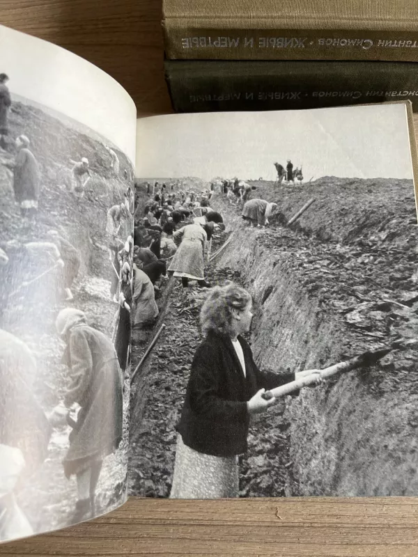 Gyvieji ir mirusieji - Konstantinas Simonovas, knyga 6