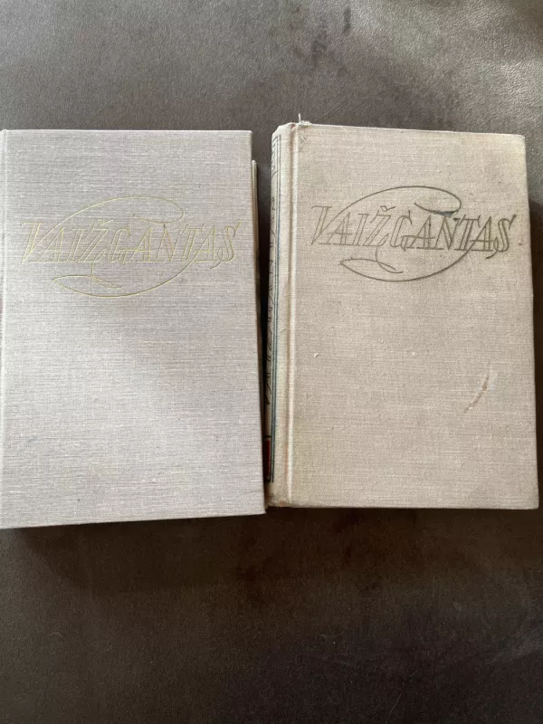 Vaižgantas rinktiniai raštai 1-2 tomas - Autorių Kolektyvas, knyga 2