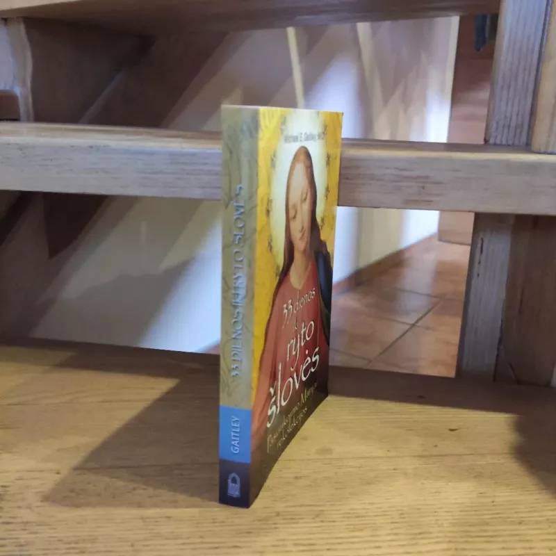 33 dienos iki ryto šlovės: Pasiaukojimo Marijai rekolekcijos - Michael E. Gaitley, knyga 4