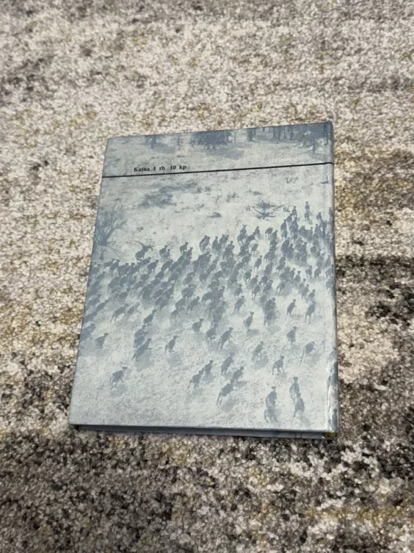 Maumedžių auksas ir vario sala - Rimantas Budrys, knyga 3