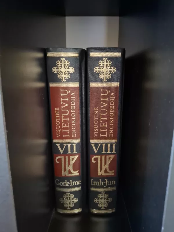 Visuotinė lietuvių enciklopedija (1 tomas) - Autorių Kolektyvas, knyga 6