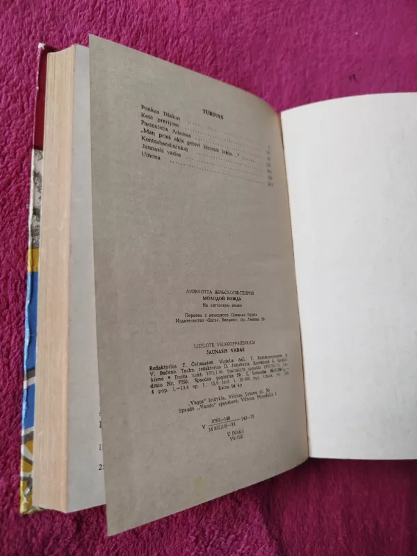 Jaunasis vadas - Lizelotė Velskopf-Henrich, knyga 5