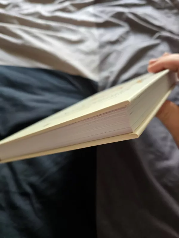 Sapiens: žmonijos gimimas. Istorinis komiksas. 1 dalis - Yuval Noah Harari, knyga 4