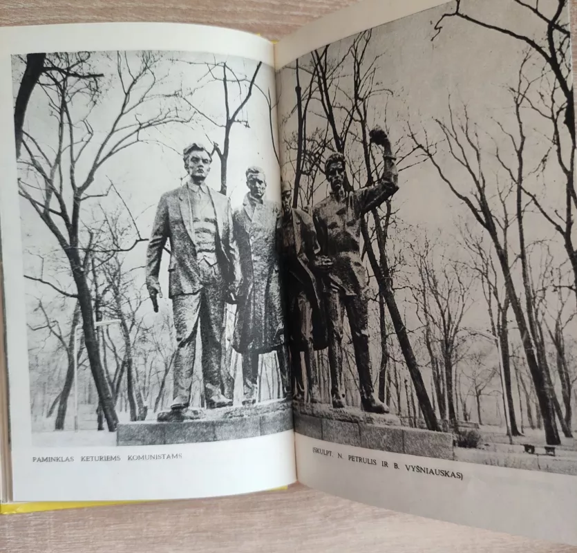 Kaunas. Turistui apie miestą - Algimantas Semaška, knyga 6