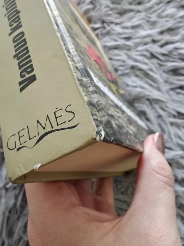 Vanduo kapinių gėlėms : romanas - Valerie Perrin, knyga 4