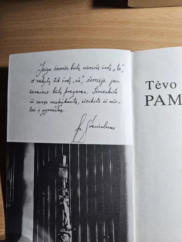 Tėvo Stanislovo pamokslai - Teresė Pažūsienė, knyga 3