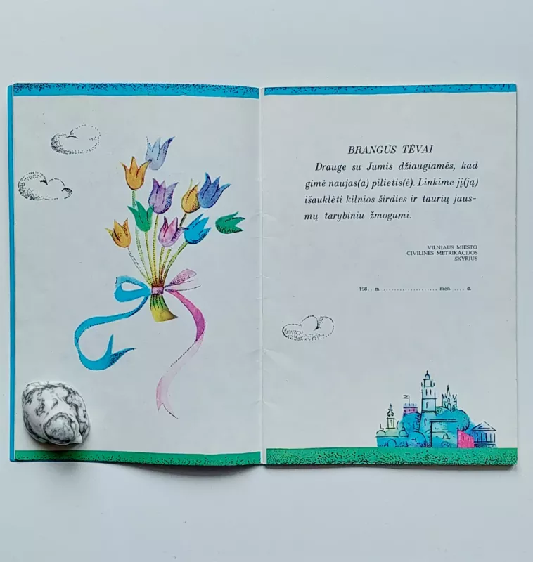 Vaiko metraštis. Vilniaus m. civilinės metrikacijos skyrius - Irena Bernatonienė, knyga 6