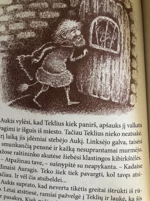 Kalvėnų miesto paslaptis - Raminta Baltrušytė, knyga 5