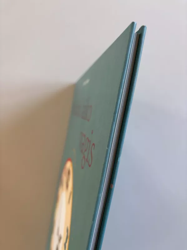 mažasis laiko vagis - Nathali Minne, knyga 4