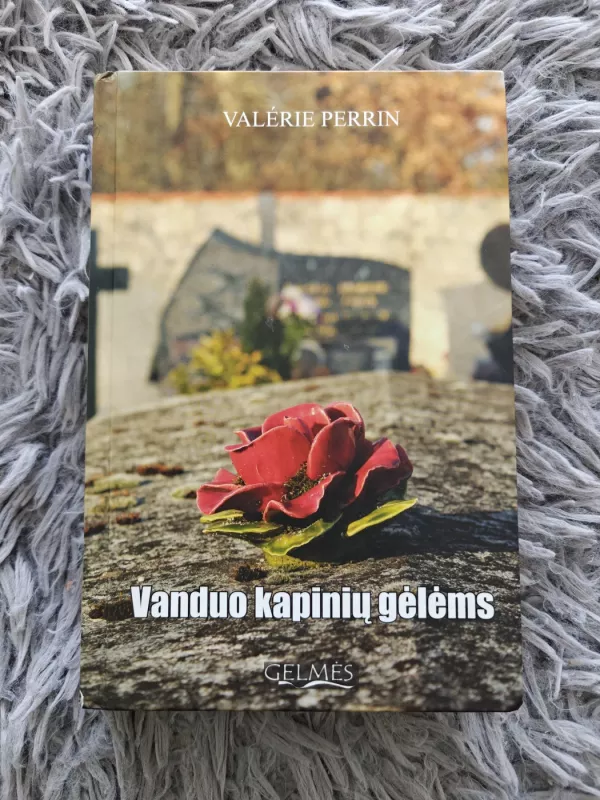Vanduo kapinių gėlėms : romanas - Valerie Perrin, knyga 2