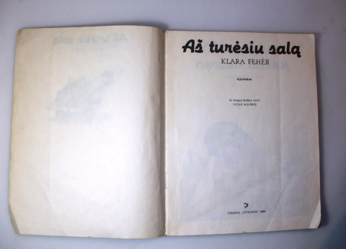 Aš turėsiu salą - Klara Feher, knyga 6