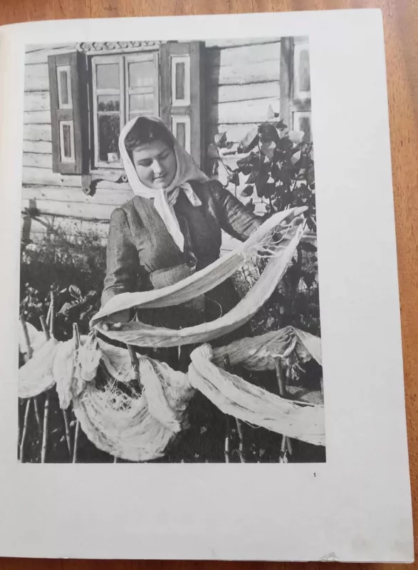 Lietuvių liaudies menas. Audiniai. II knyga - Jonas Balčikonis, knyga 5