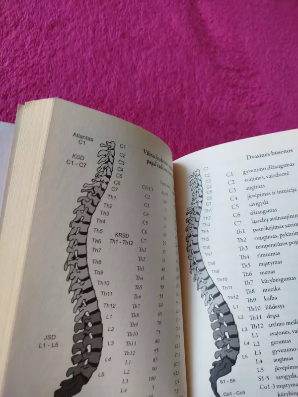 DVASINIS STUBURO GYDYMAS. Visiškai nauji ir išskirtiniai pratimai stuburui - Tanja Aeckersberg, knyga 4