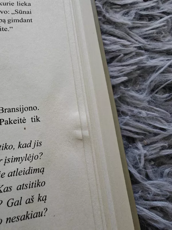 Vanduo kapinių gėlėms : romanas - Valerie Perrin, knyga 3