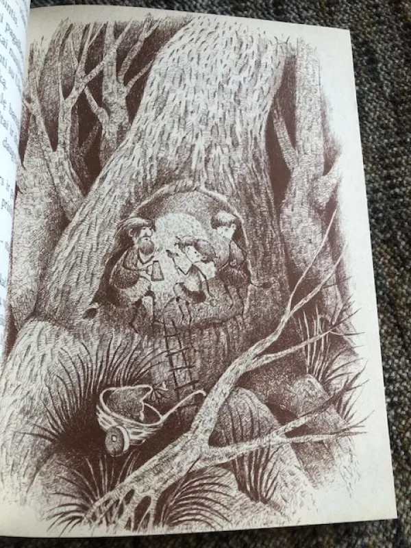 Kalvėnų miesto paslaptis - Raminta Baltrušytė, knyga 4