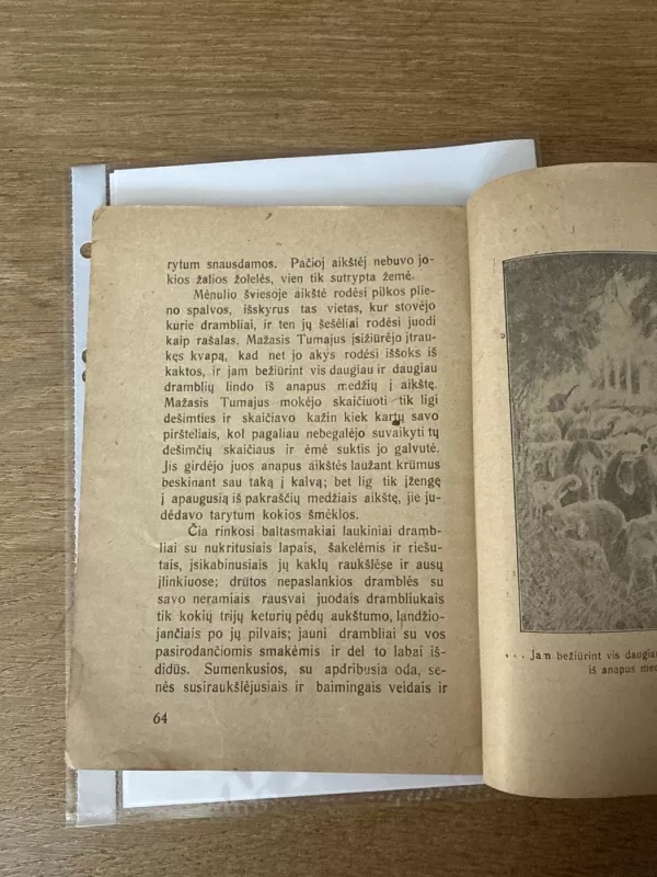 Džunglės - Rudyard Kipling, knyga 6