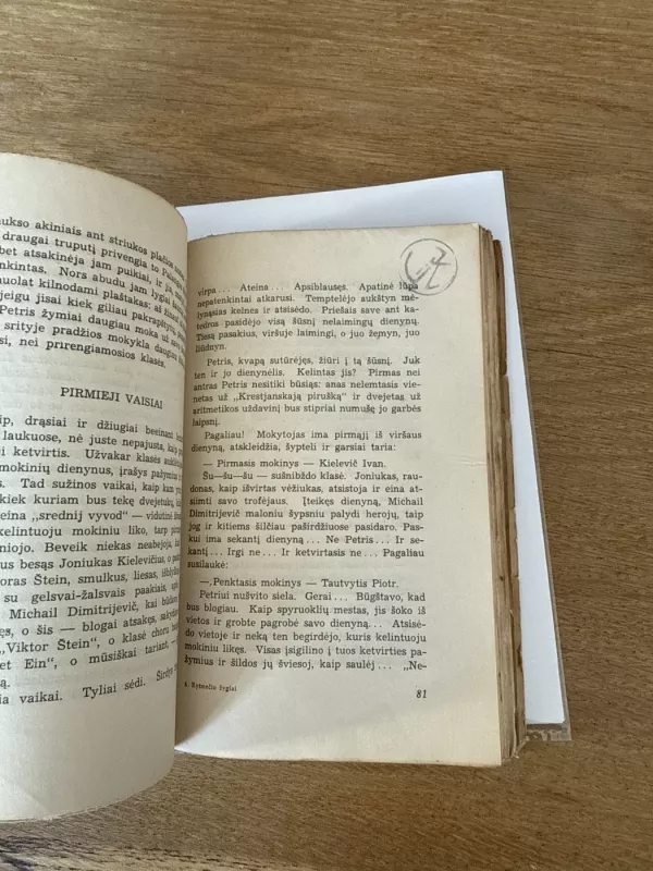 Rytmečio žygiai - M. Vaitkus, knyga 4