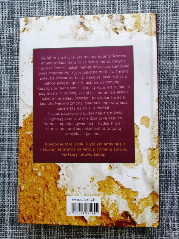 Filosofo žmona - Dalia Dilytė, knyga 3