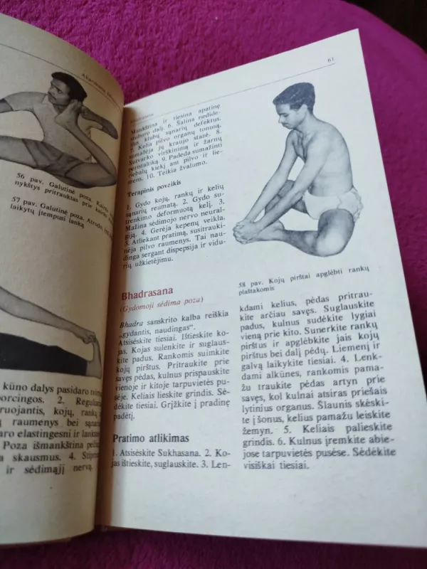 Jogos sistemos pradmenys - Autorių Kolektyvas, knyga 4