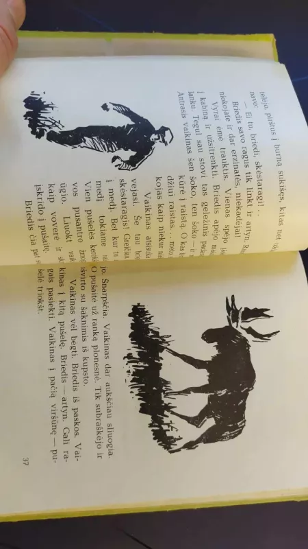 Kanapėtas šienpjovys - R. Budrys, knyga 4