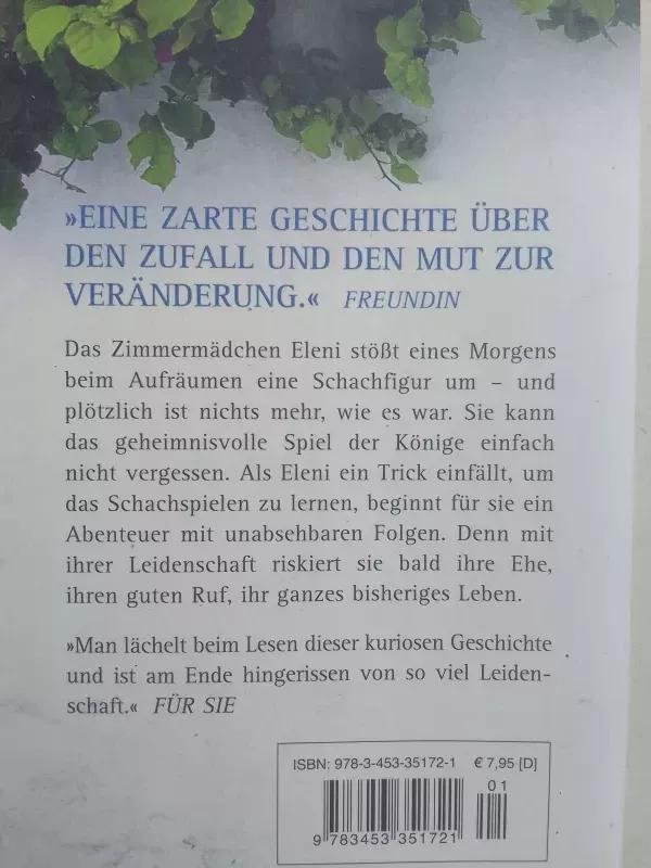 Die Schachspielerin: Roman - Bertina Henrichs, knyga 6