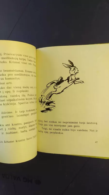 Kanapėtas šienpjovys - R. Budrys, knyga 3