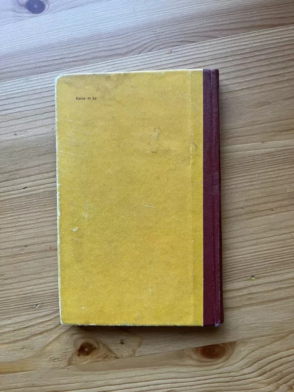 Nepažįstamasis iš trylikto buto arba piktadariai ieško nukentėjusiojo - V. Nestaika, knyga 5