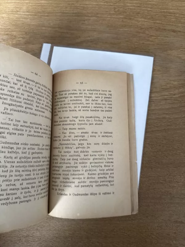 Mergaite is Stormyro vienkiemio - Selma Lagerlöf, knyga 6