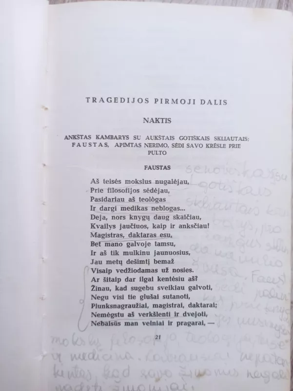 Faustas - Johanas Volfgangas Gėtė, knyga 4