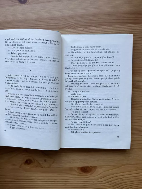 Susitikimas su Brunhilda - Vytautas Sirijos Gira, knyga 4