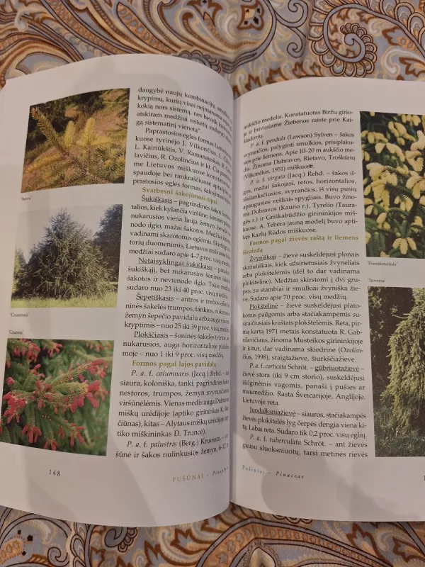 Dendrologija - Mindaugas Navasaitis, knyga 5