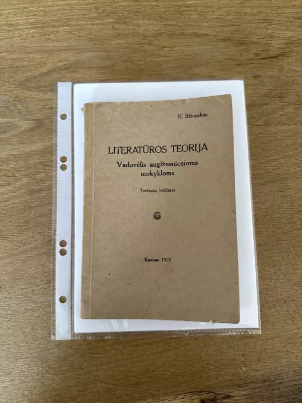 Literatūros teorija - Kazys Bizauskas, knyga 2