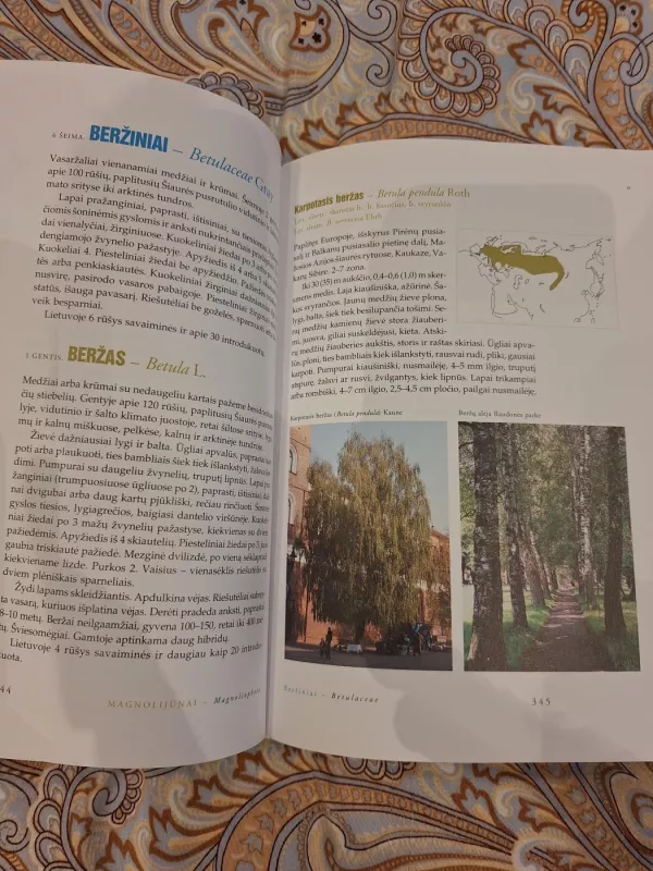 Dendrologija - Mindaugas Navasaitis, knyga 6