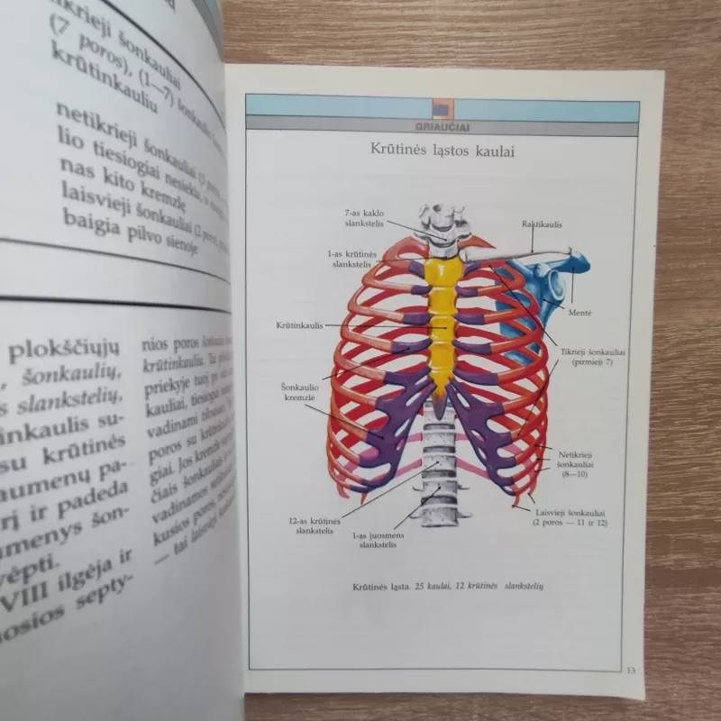 Iliustruotas žinynas Anatomija Žmogus - Autorių Kolektyvas, knyga 4