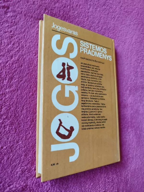 Jogos sistemos pradmenys - Autorių Kolektyvas, knyga 6