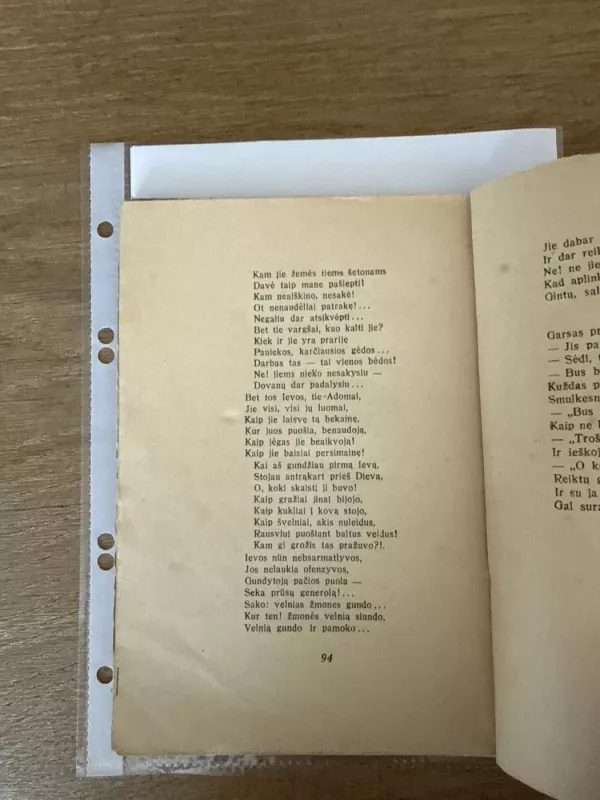 Rakšties rakštys - Mykolas Vaitkus, knyga 6